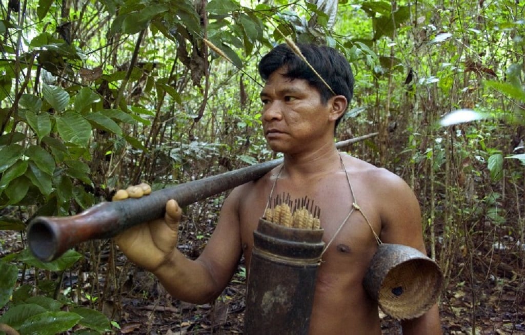 Amazon Rainforest Tribes