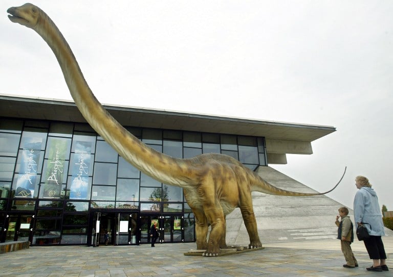 diplodocus live