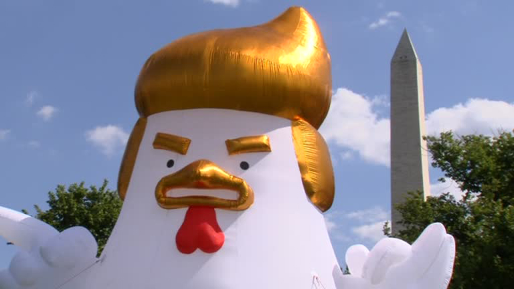 Inflatable Chicken Stares Down The White House Enca