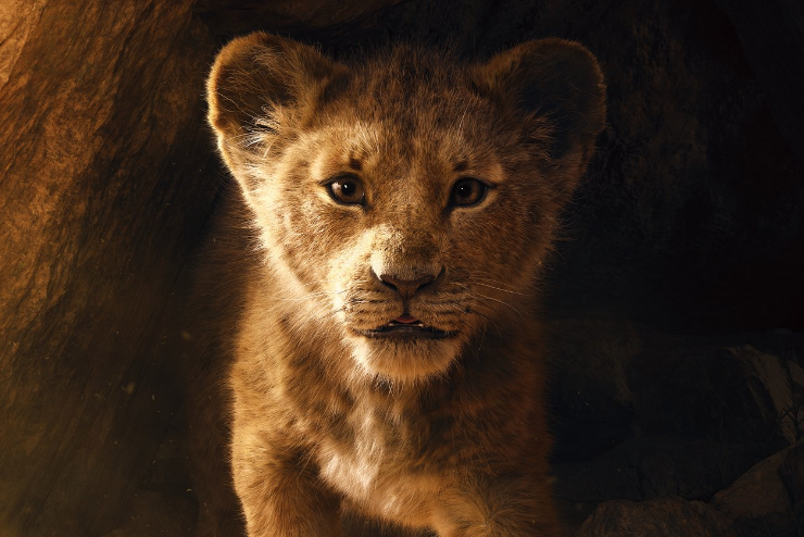 Watch King Simba Returns To The Big Screen Enca