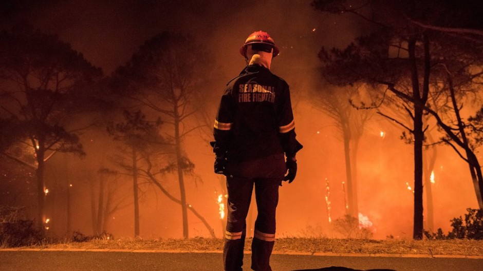 A firefighter stands during operations to put out a forest fire.