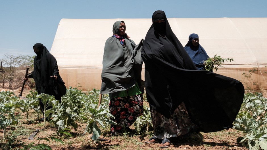  Members the local women's group remove weeds from their vegetable garden to sell as saved water ran out about a week ago in Takaba on September 1, 2022. The devastating Horn of Africa drought is set to get even worse with a fifth consecutive failed rainy season, the UN's weather agency forecasted, fearing an unprecedented humanitarian catastrophe. Ethiopia, Kenya and Somalia are already going through their worst drought for 40 years and another poor rainy season is now highly likely, the World Meteorologic