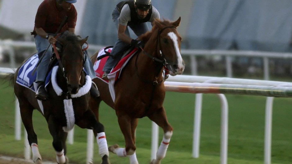 Workout jockeys ride Saudi horses Al-Morhij (L) and Lelah Dorak, owned by King Abdullah Bin Abdel Aziz sons, during early morning traning in Nad al-Sheba racecourse in Dubai, on March 25, 2009, ahead of the 6 million dollar March 28 Dubai World Cup equestrian race.