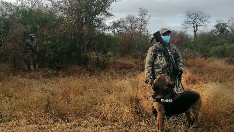 eNCA's Slindelo Masikane in Mpumalanga with cameraman Tebogo Masilo to explore what it's like to travel during a pandemic. First stop, the Kruger National Park.