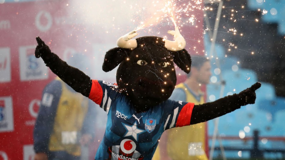 Bulls mascot during the 2020 Super Rugby match between Bulls and Blues at the Loftus Versveld Stadium, Pretoria on 22 February 2020.