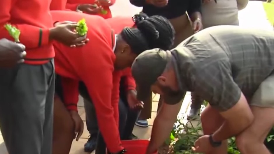  Youth encouraged to start their own food gardens 