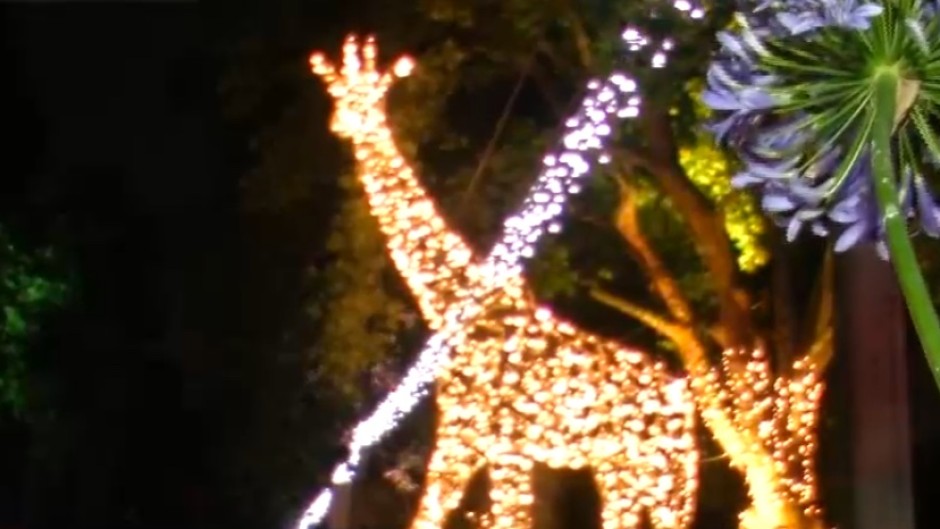 The Festival of Lights is back at the Joburg Zoo. (eNCA\Screenshot)