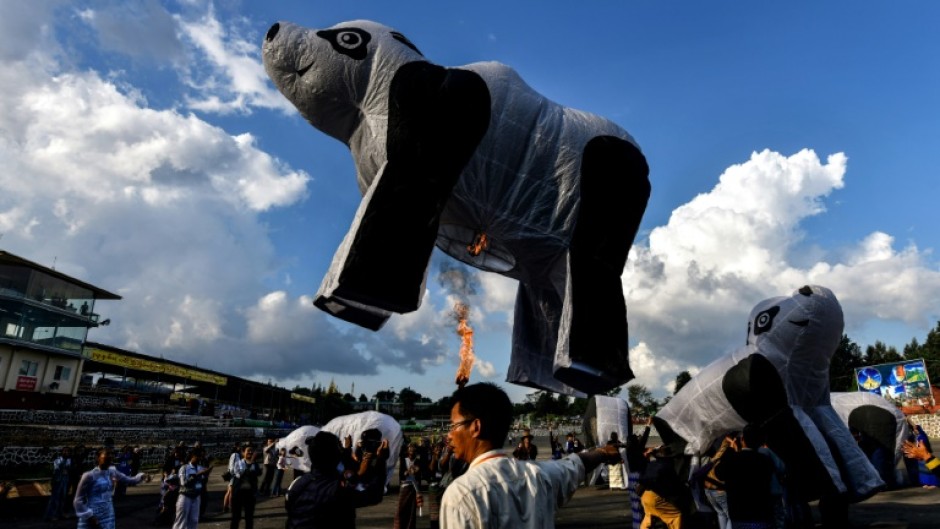 The hot-air balloons featured an array of artwork from images of Buddha to traditional motifs, with one made in the shape of a polar bear