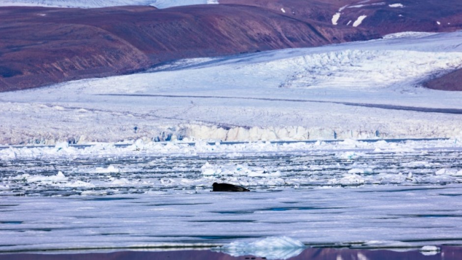 The Greenland ice sheet is currently the main factor in swelling the Earth's oceans