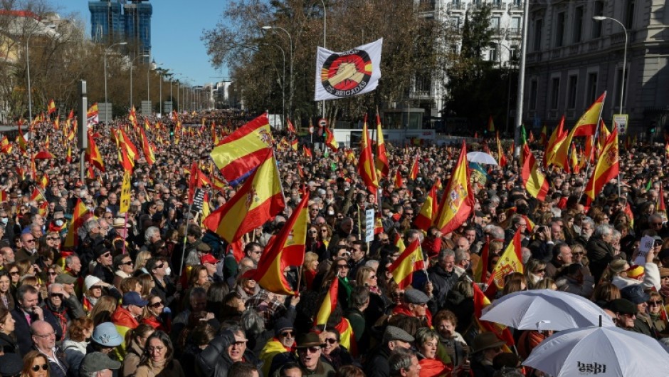 Protesters wave Spanish national flags at a Madrid protest against Spain's leftist government