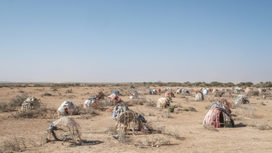 Ethiopia and other countries in the Horn of Africa are suffering the worst drought in four decades