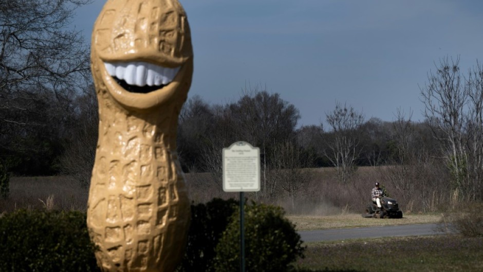 A 13-foot statue of a peanut with Jimmy Carter's smile was brought to Plains after a 1976 presidential rally in Evansville, Indiana