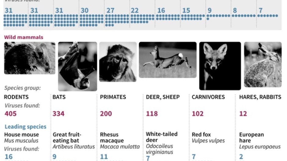 Spillover: sources of zoonotic viruses