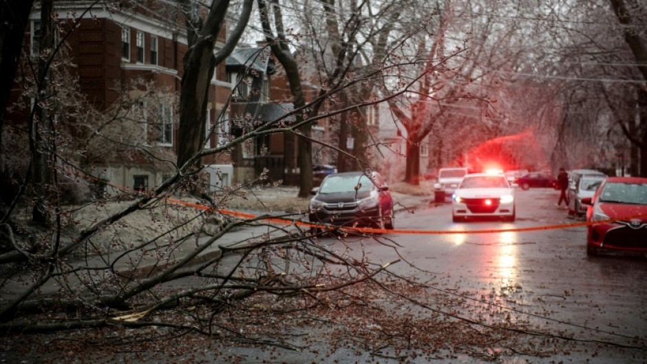 One of the hundreds of trees toppled by an ice storm that hit Montreal