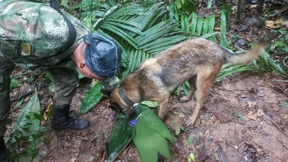 A photograph released by Colombia's armed forces shows soldiers and sniffer dogs searching for the missing children