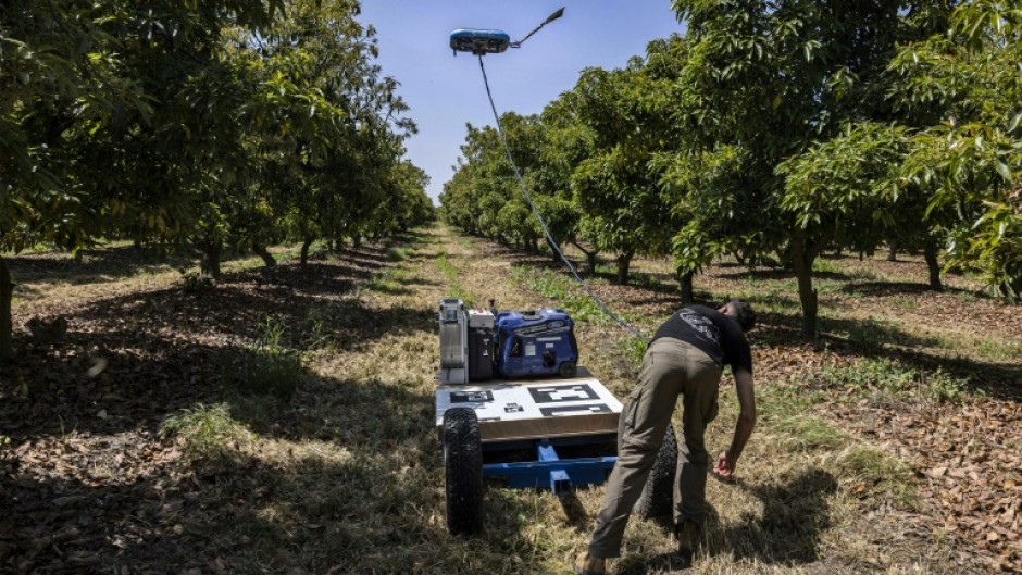 A drone with a pollination device is seen in action at the kibbutz in Eyal