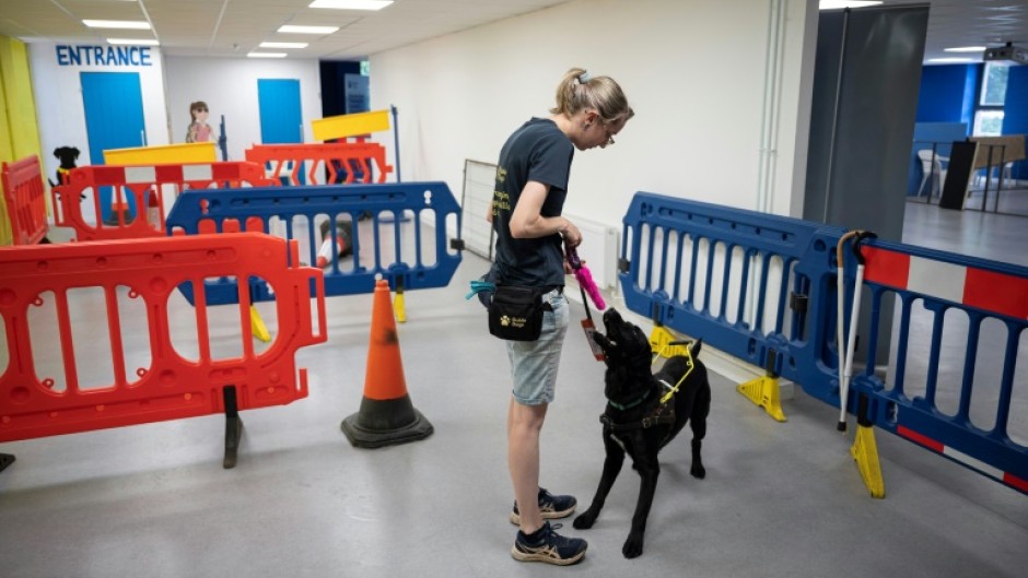 Guide dogs learn to negotiate obstacles and dangers in the street