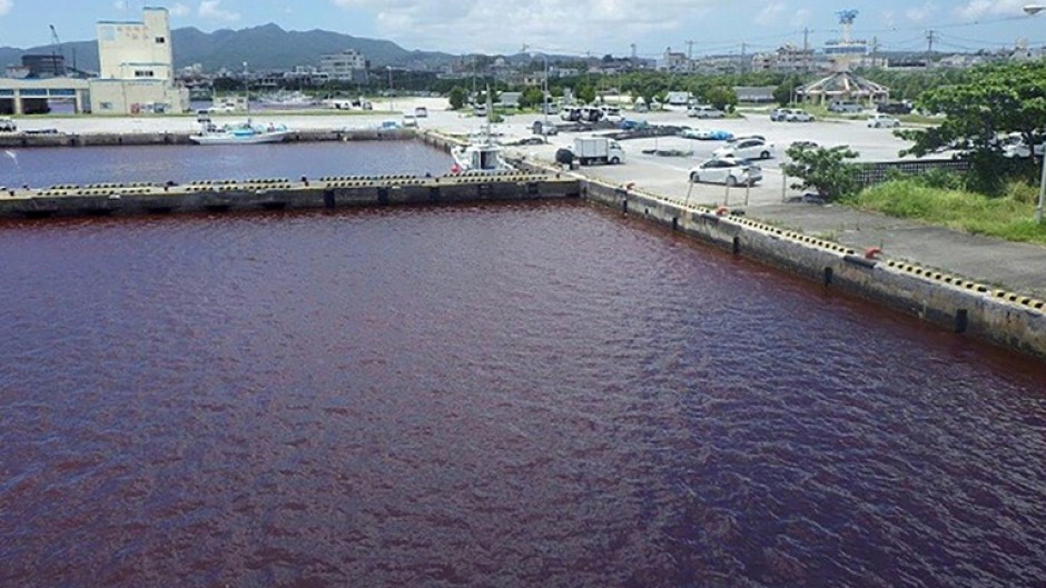 A leak filled a port area in the city of Nago with the luridly coloured water