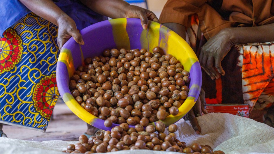 Sale Of Shea Butter Brings Hope To Women In Mali ENCA   Shea Butter .webp