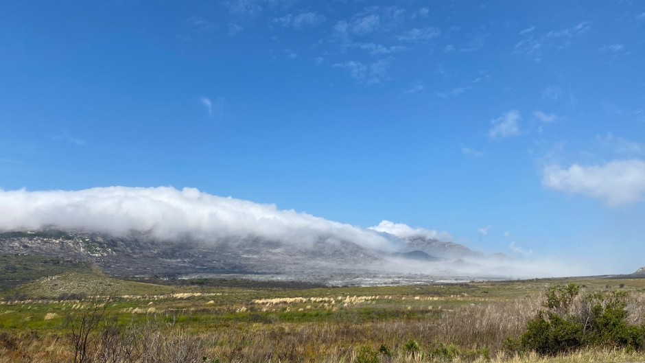 The fires in the Western Cape has left a trail of destruction. eNCA/Kevin Brandt