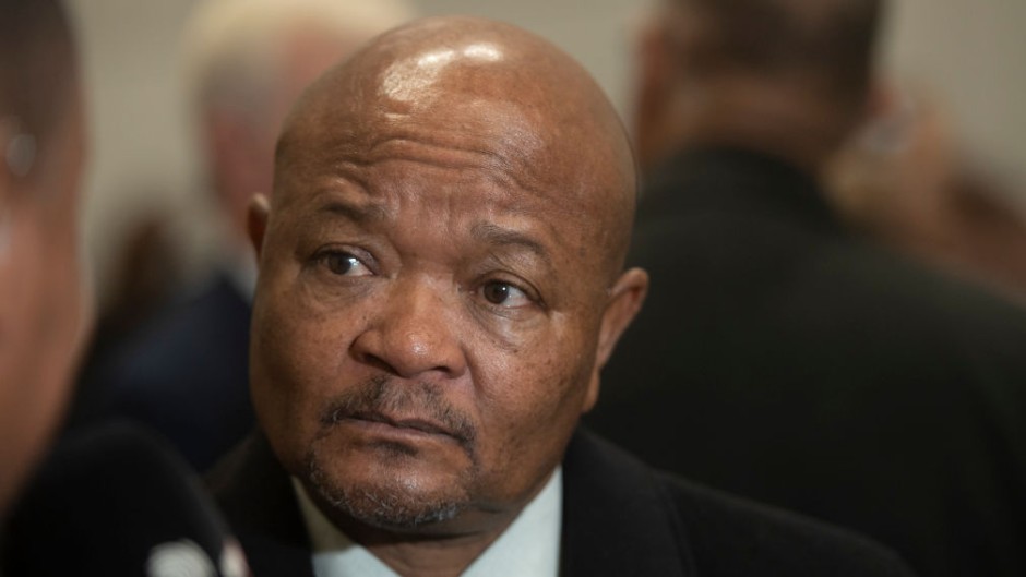 Minister of Police Senzo Mchunu. Brenton Geach/Gallo Images via Getty Images