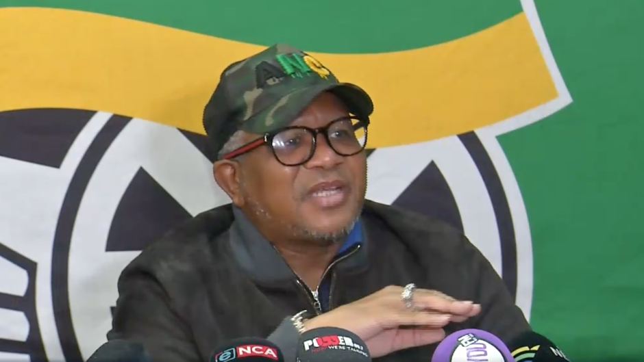 Fikile Mbalula