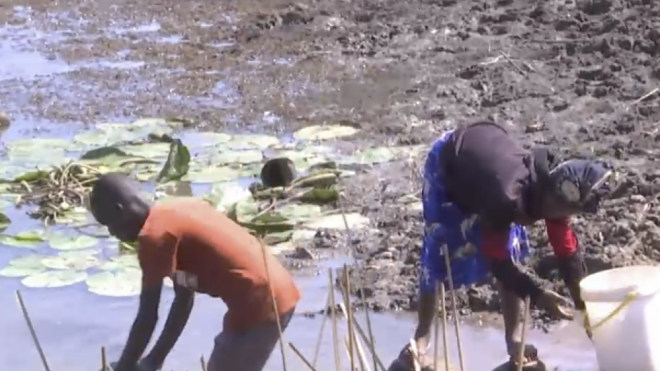 The El-Nino-induced drought has hit the southern Africa region hard, leaving many people and animals in rural Zimbabwe in serious need of water.