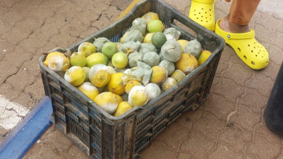 Rotten lemons seen in a basket. eNCA/Hloni Mtimkulu