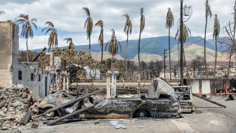 Burned palm trees and destroyed cars and buildings in the aftermath of a wildfire in Lahaina