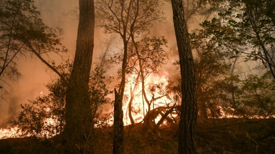 Devastating fires have ripped through parts of Europe over a long, hot summer