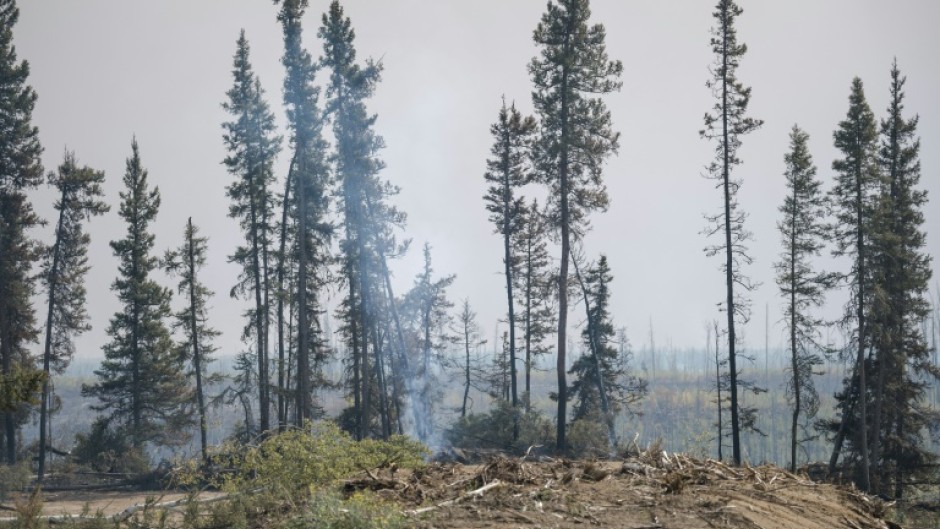 Canada's fires were fueled by drier and hotter conditions caused by climate change -- and by releasing greenhouse gasses into the atmosphere, these fires in turn contribute to global warming