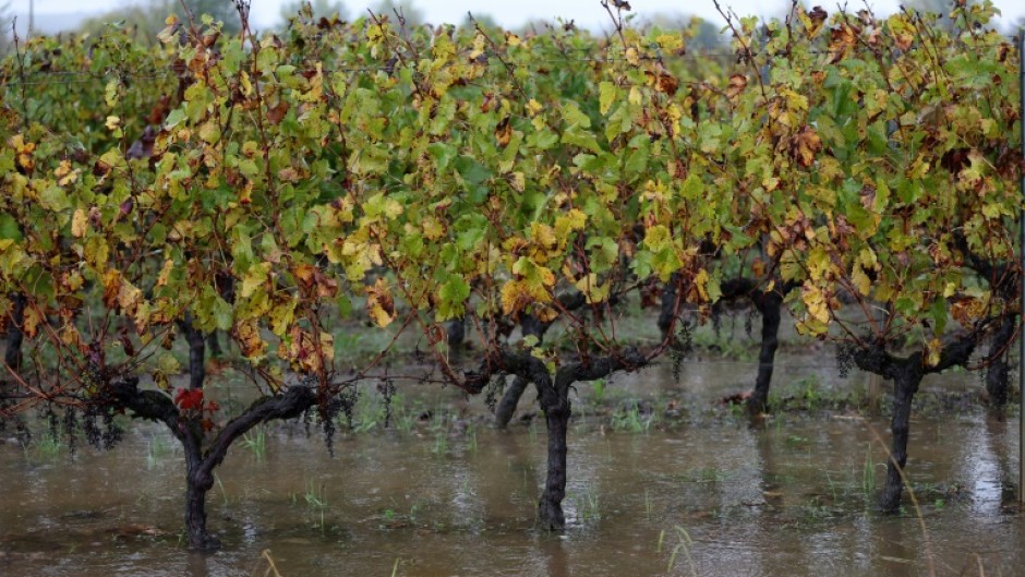 Powerful storm Ciaran flooded vineyards in Bordeaux 