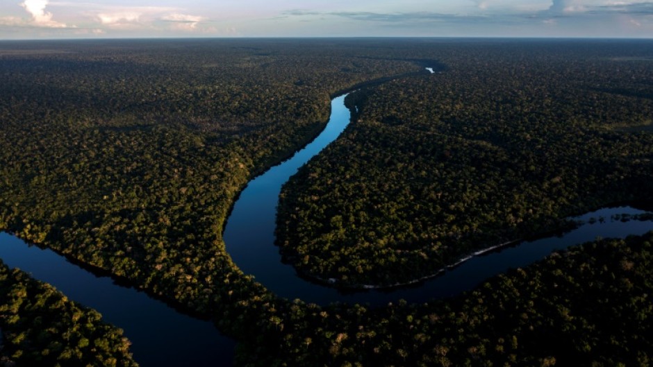 A new study finds forests could absorb vastly more carbon with better protection