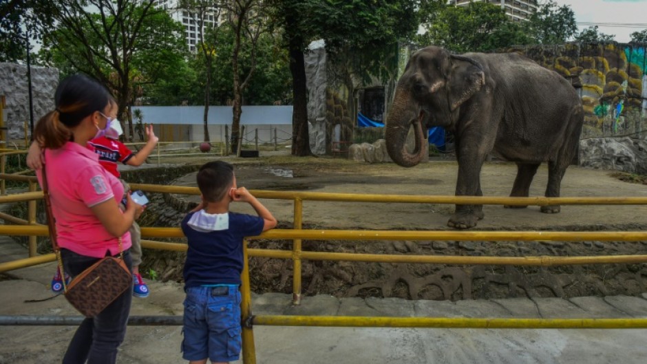 Before her death on Tuesday, the approximately 43-year-old elephant won the support of Catholic bishops, a global pop star and a Nobel laureate