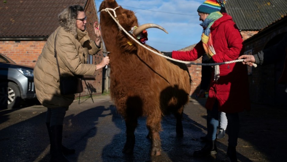 Visitors say the experience is very therapeutic Visitors say the experience is very therapeutic - and Morag also seems to like it