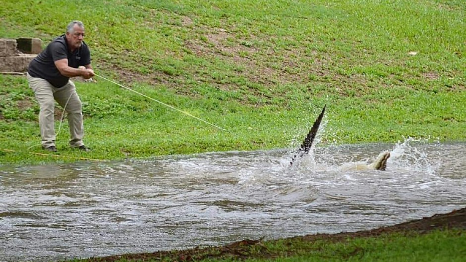 Flash floods have swamped northeastern Australia, with raging waters severing roads and flushing crocodiles into towns