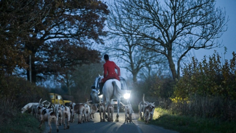 Trail hunting, where hounds follow a scent, has been banned in Scotland and England and Wales may follow