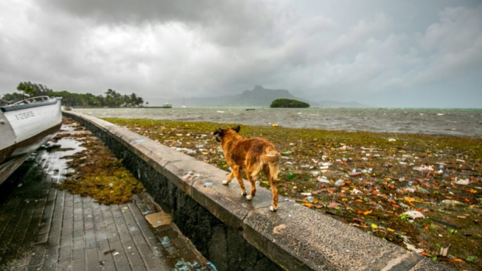 The authorities have advised the public to stay in a safe place, with 'torrential rain conditions' expected in the coming hours