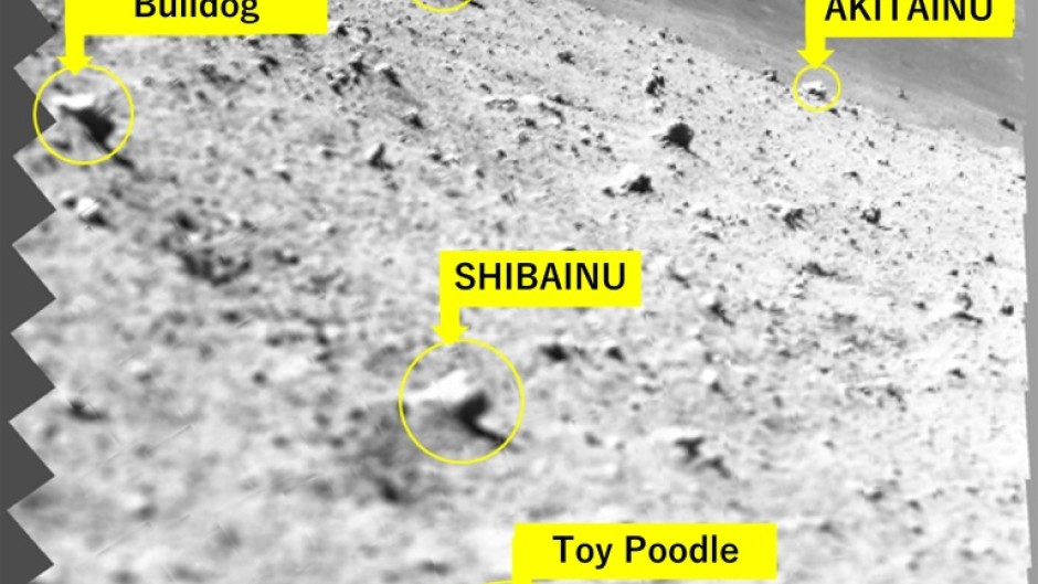 This handout photo released by the Japan space agency JAXA and credited to JAXA, University of Aizu and Ritsumeikan University shows lunar rocks captured by a spectroscopic camera on the Smart Lander for Investigating Moon (SLIM) module