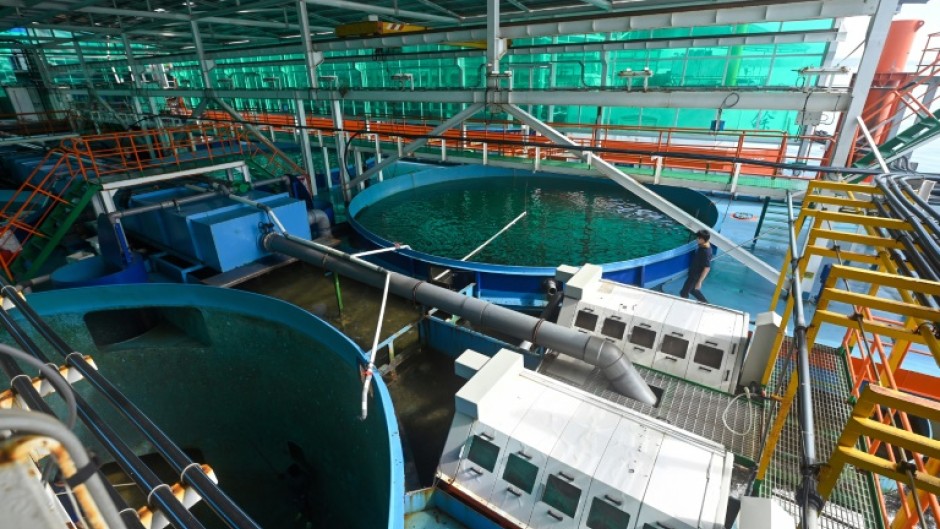 Fish tanks at Singapore's Eco Ark simulate ocean conditions that allow fish to swim against a current while shielding them from diseases