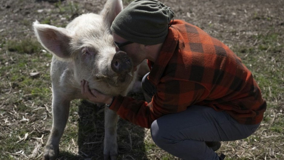 One man and his rescue pig in Uruguay