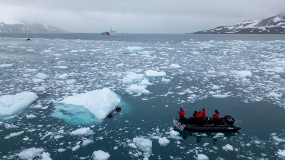 Scientists have warned that rising ocean temperatures are impacting whales' body clock and migration cycles, as well as killing off krill, the tiny crustacians they need to fatten up for a journey of thousands of kilometers