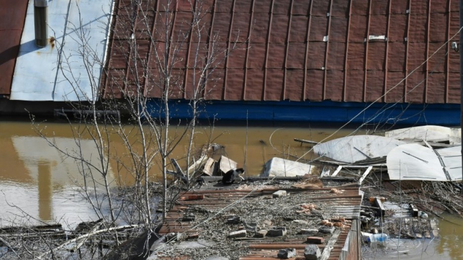 A cat is seen on the roof of a building in the flooded Russian city of Orenburg 