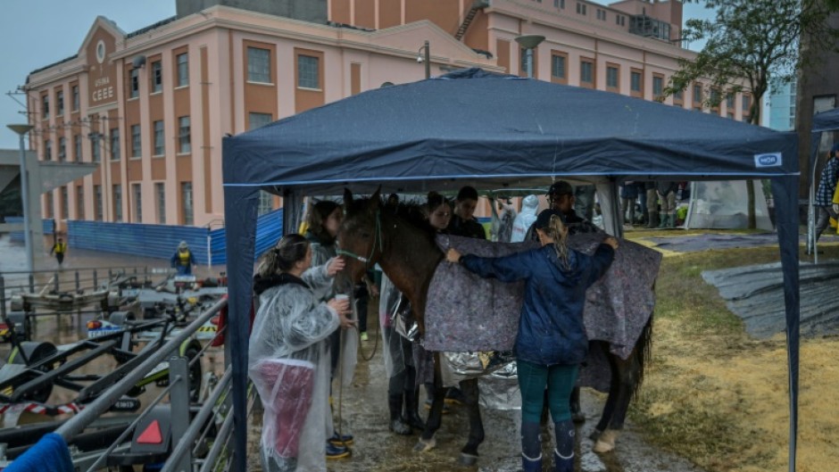 Volunteers take care of a horse at an animal shelter in the historic center in Porto Alegre, Brazil, on May 11, 2024