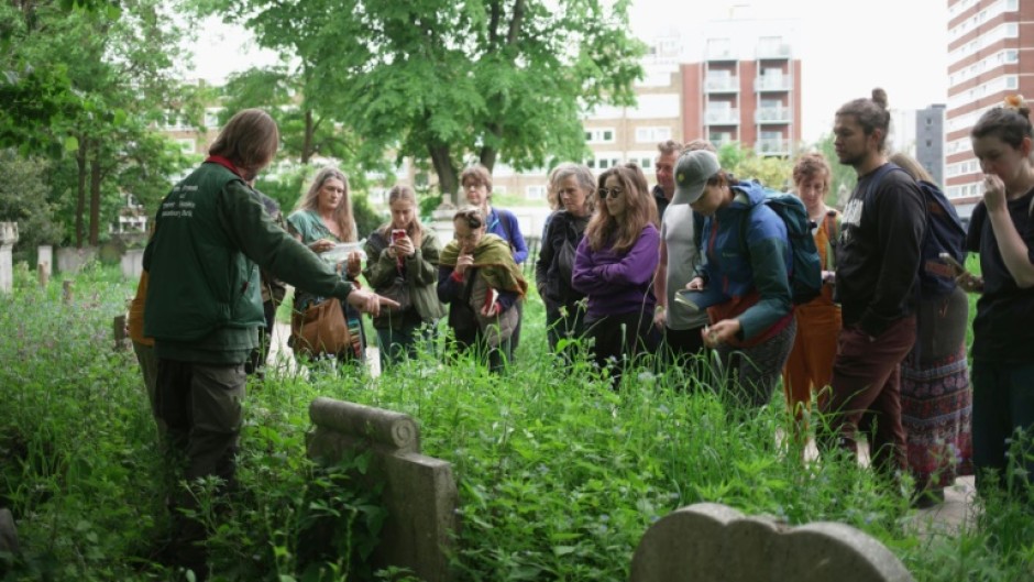 Hunting for edible plants with London's urban foragers