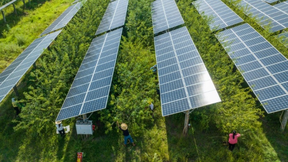 Pepper farmers work in field under solar panels in China's southwest Guizhou province