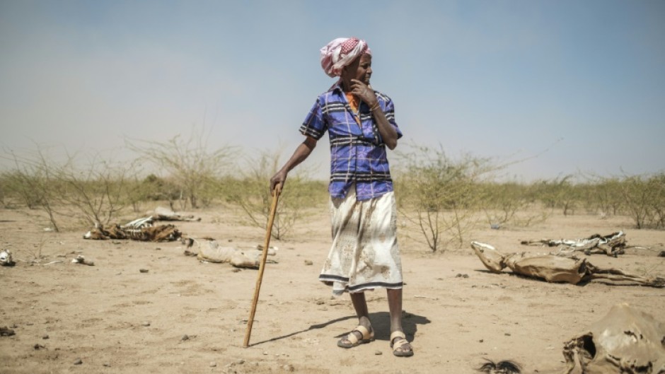 A man stands among animal carcasses in the village of Antalale in Ethiopia in January 2023. According to a UN report, hunger affected one in every five people in Africa last year