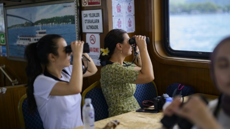 Thar she blows: Istanbulites spotting dolphins on the free cruise designed to raise awareness of the city's resident dolphins