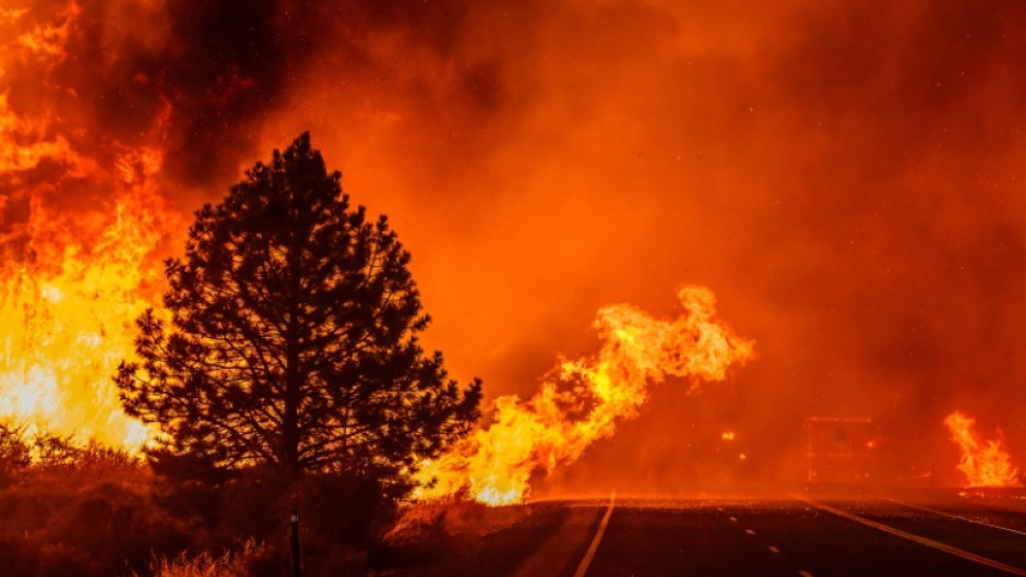 Fueled by a crushing heatwave, the so-called Park Fire -- the most intense wildfire to hit the state this summer -- has rapidly devoured nearly 240,000 acres (97,000 hectares)