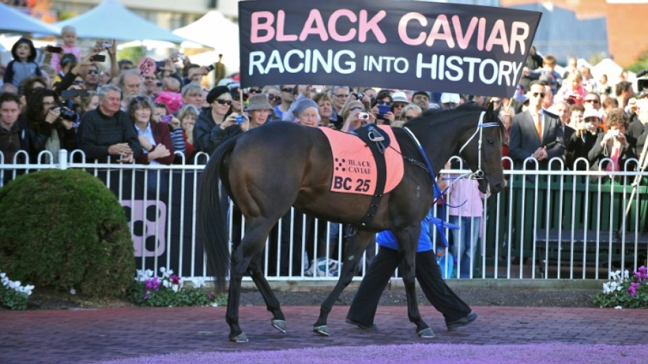 Australian thoroughbred Black Caviar (pictured at her farewell in 2013) was unbeaten in all 25 races she ran before retiring